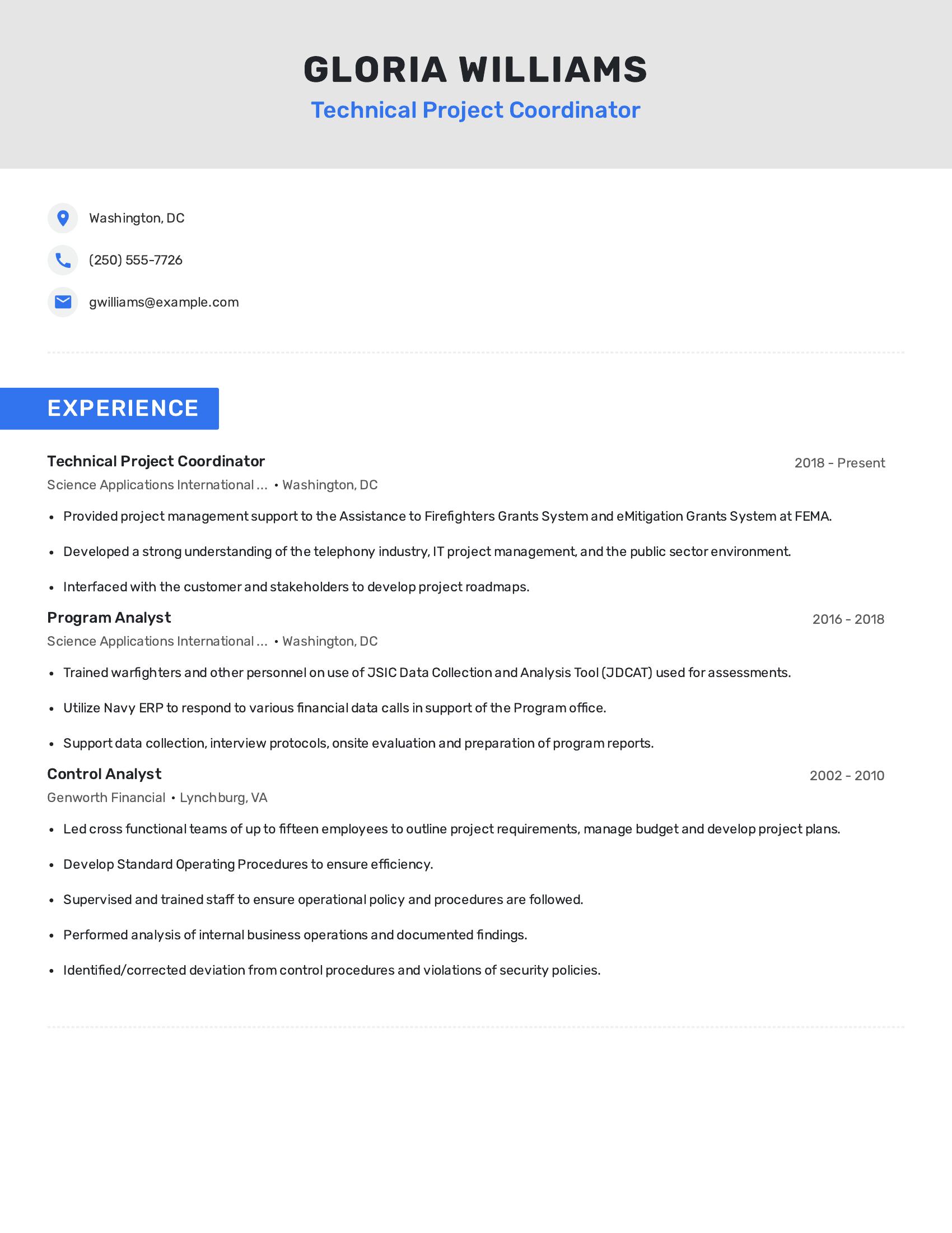 Technical Project Coordinator resume example