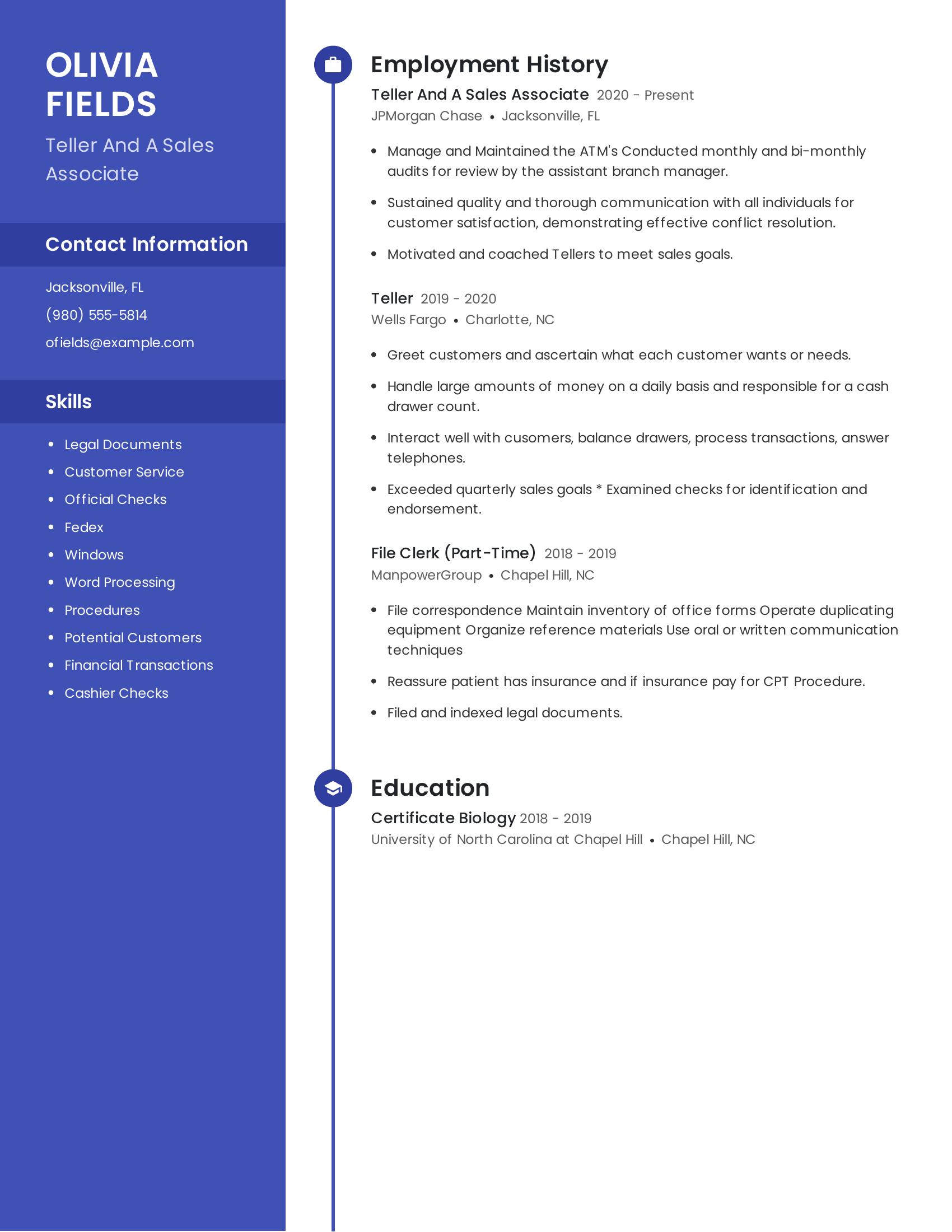 Teller And A Sales Associate resume example