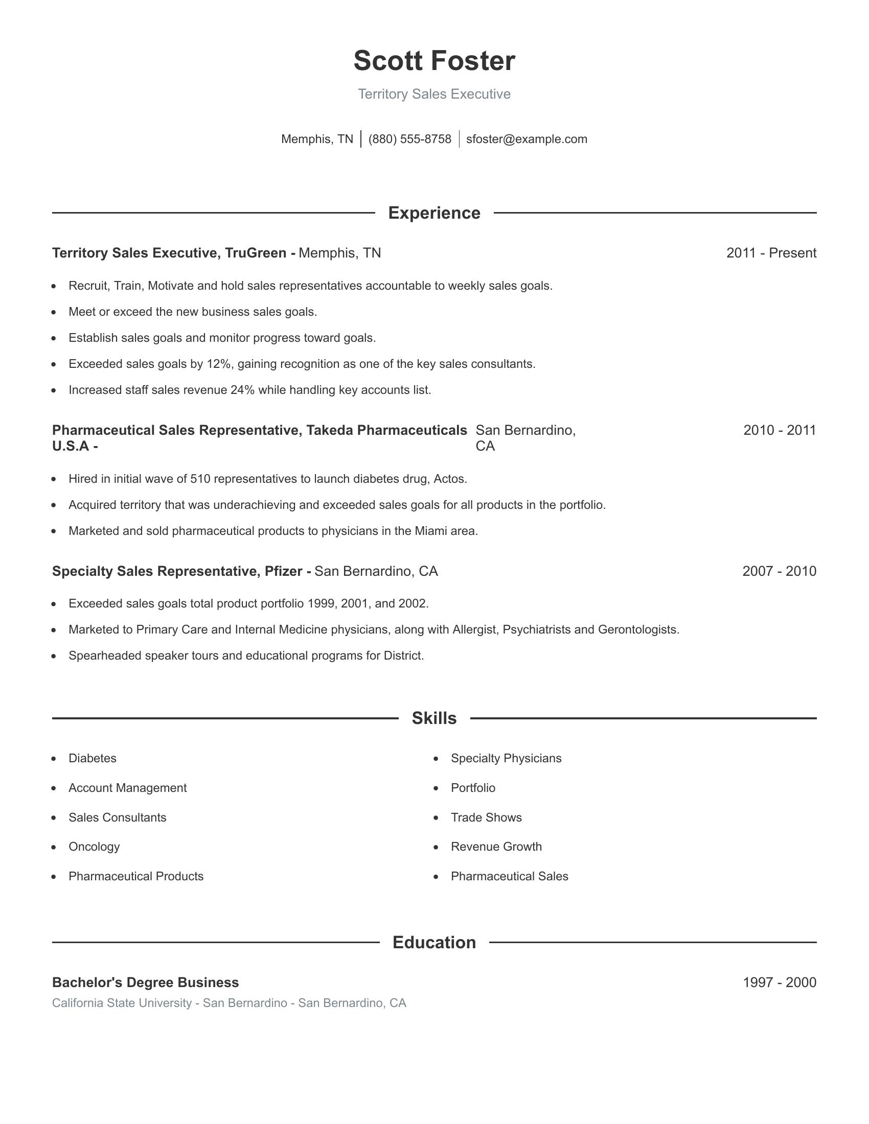 Territory Sales Executive resume example