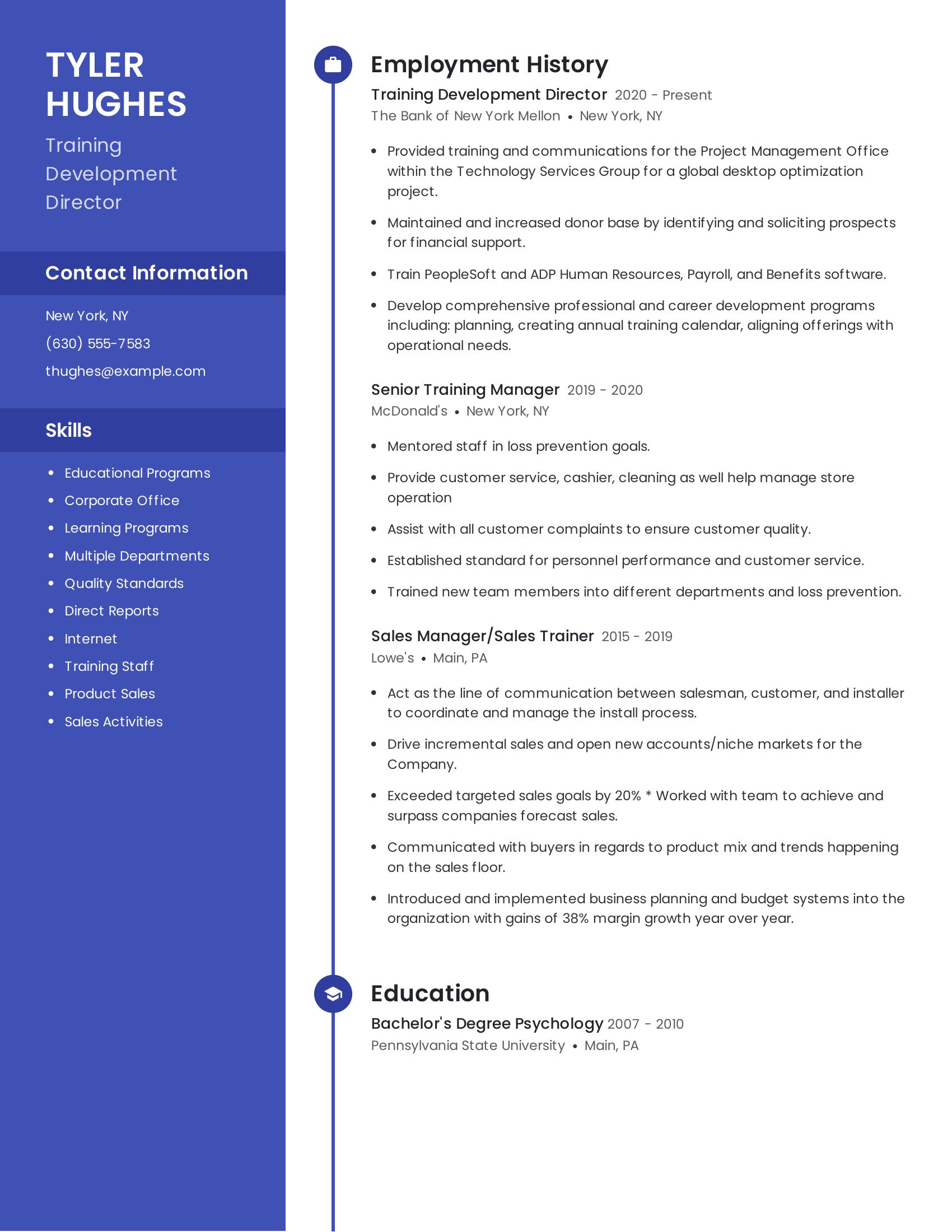 Training Development Director resume example