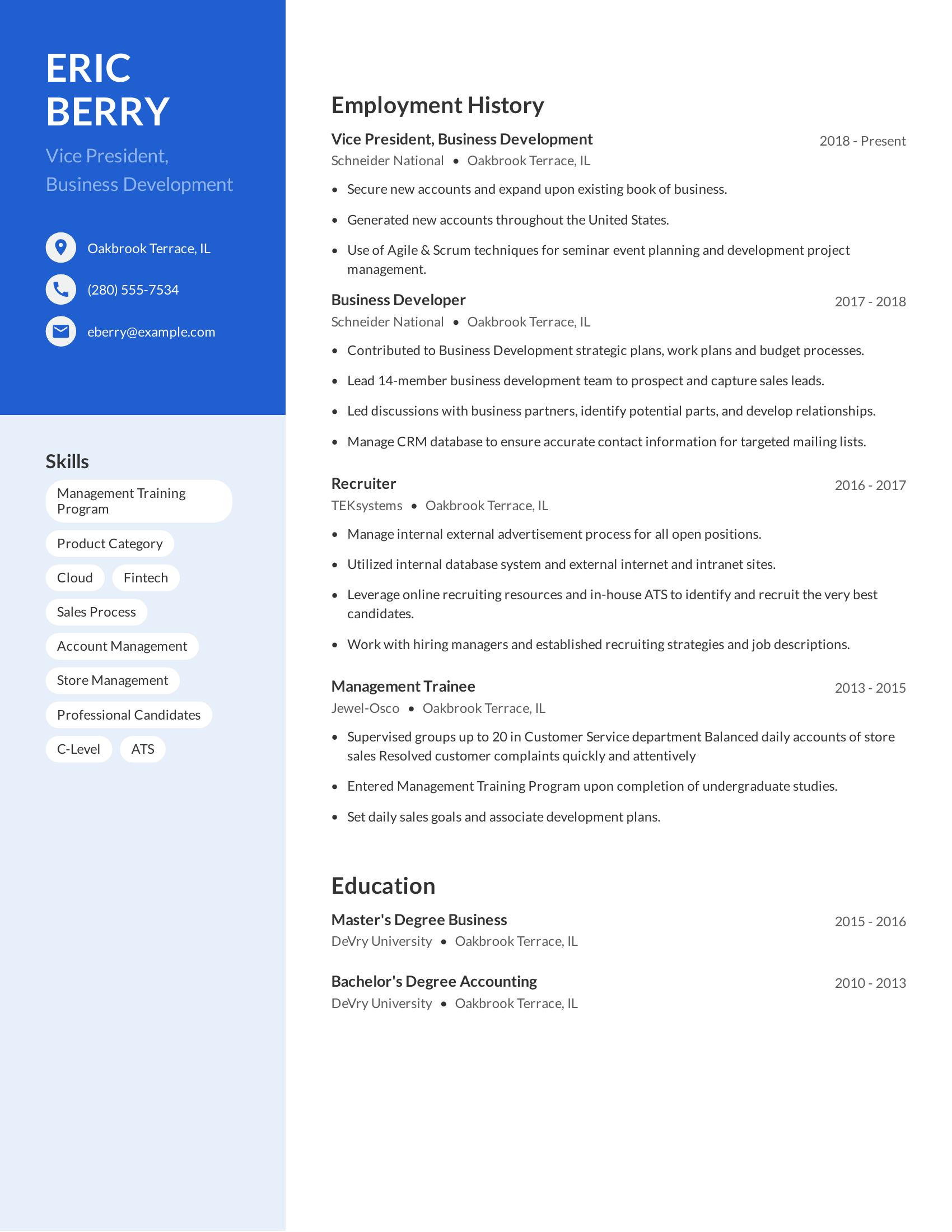 Vice President, Business Development resume example