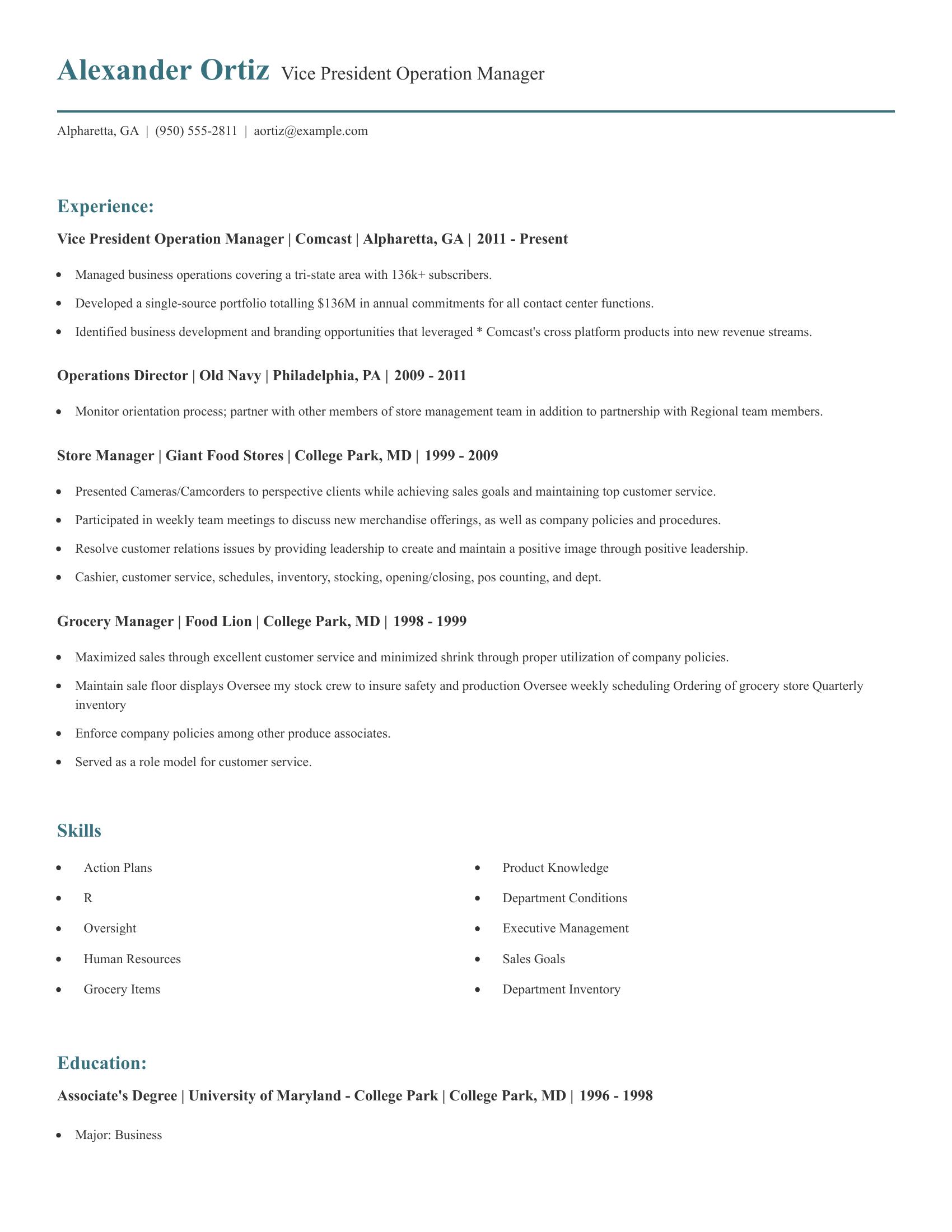 Vice President Operation Manager resume example