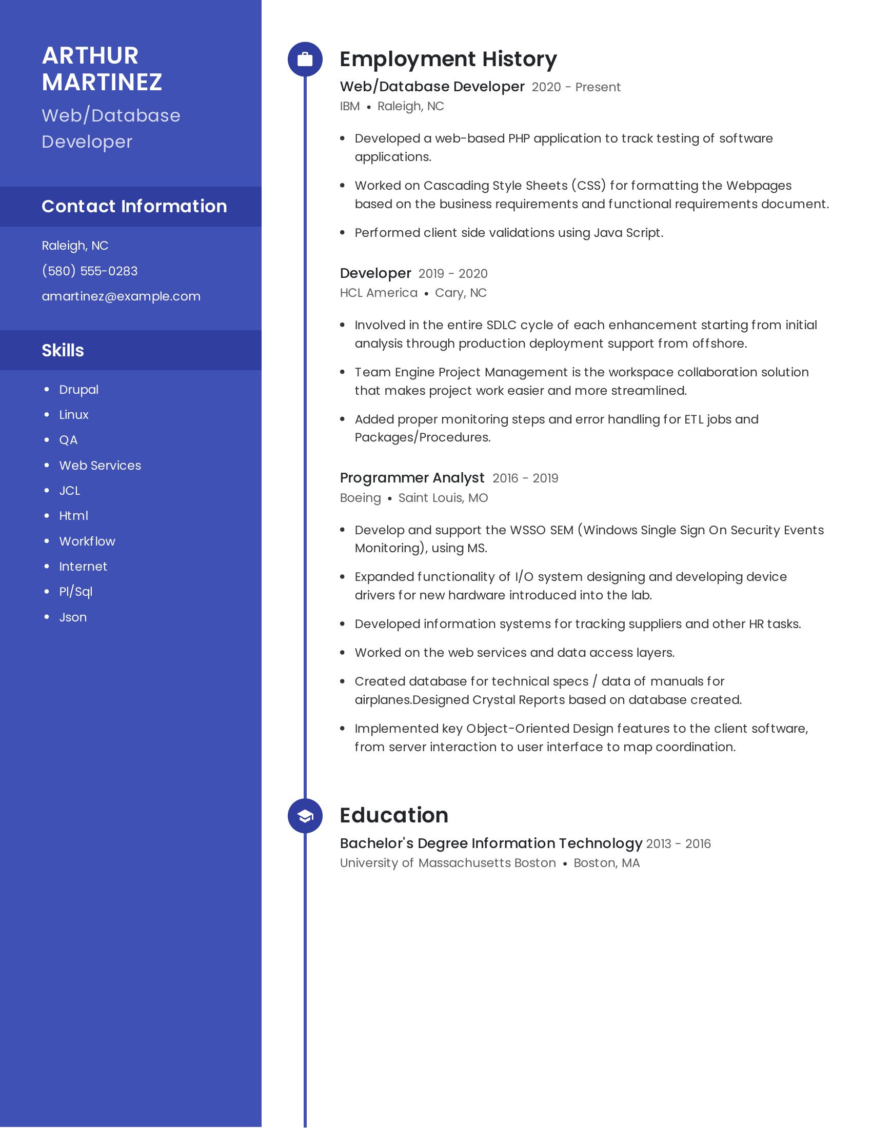 Web/Database Developer resume example