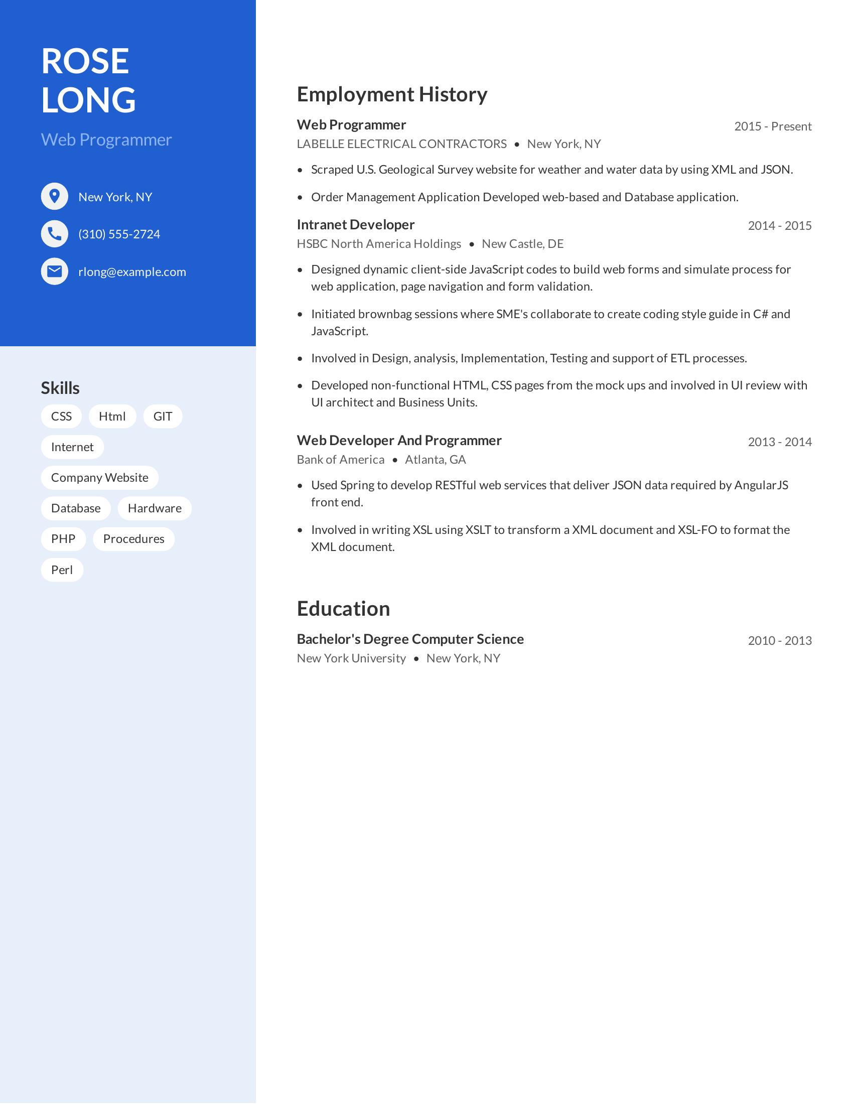 Web Programmer resume example